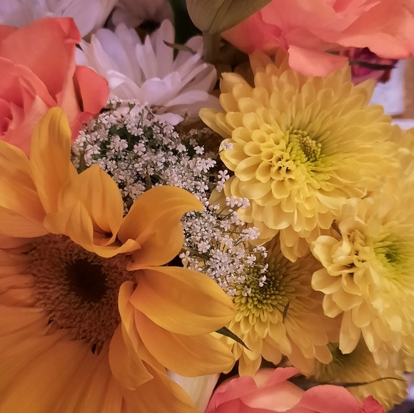 Meet your Posher, TracyBluebird - Picture 1 of 3